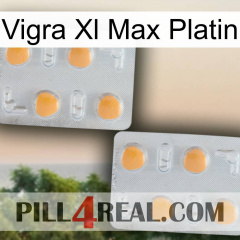 Vigra Xl Max Platinum 25